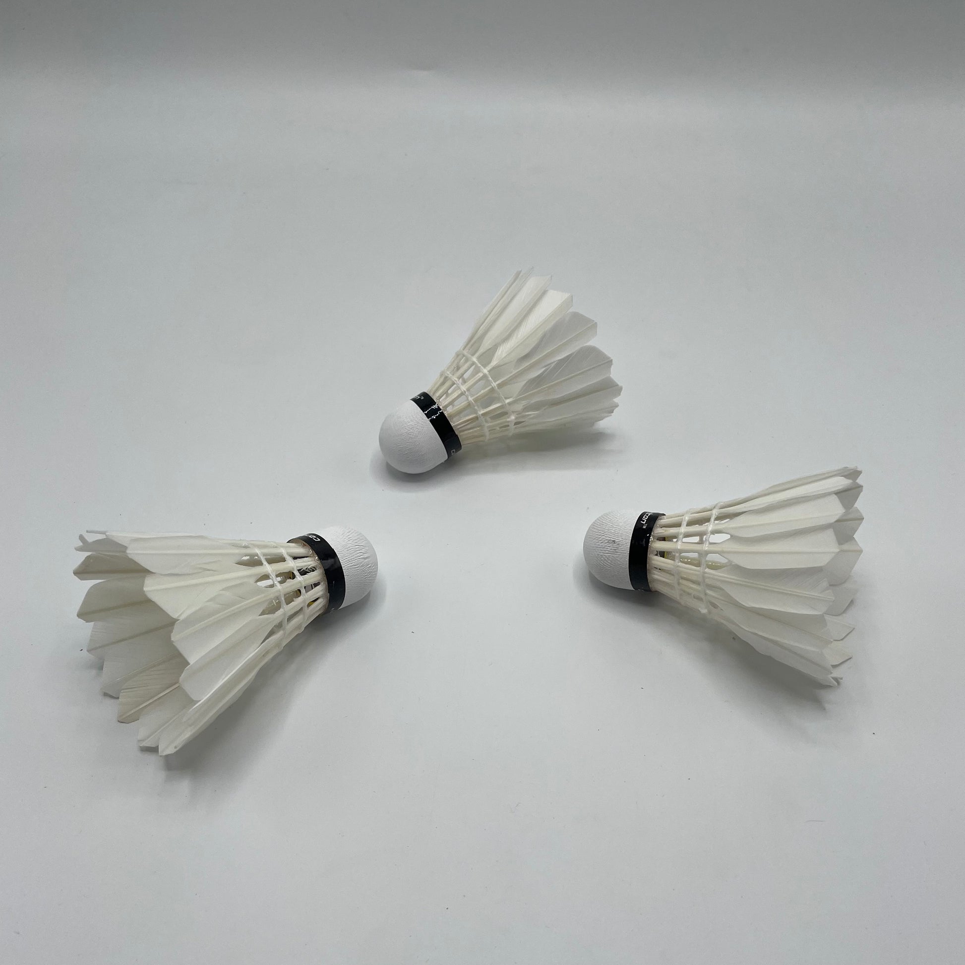 Carlton GT4 Badminton Feather Shuttle - Feather Shuttle - Shuttle - Badminton Suttle