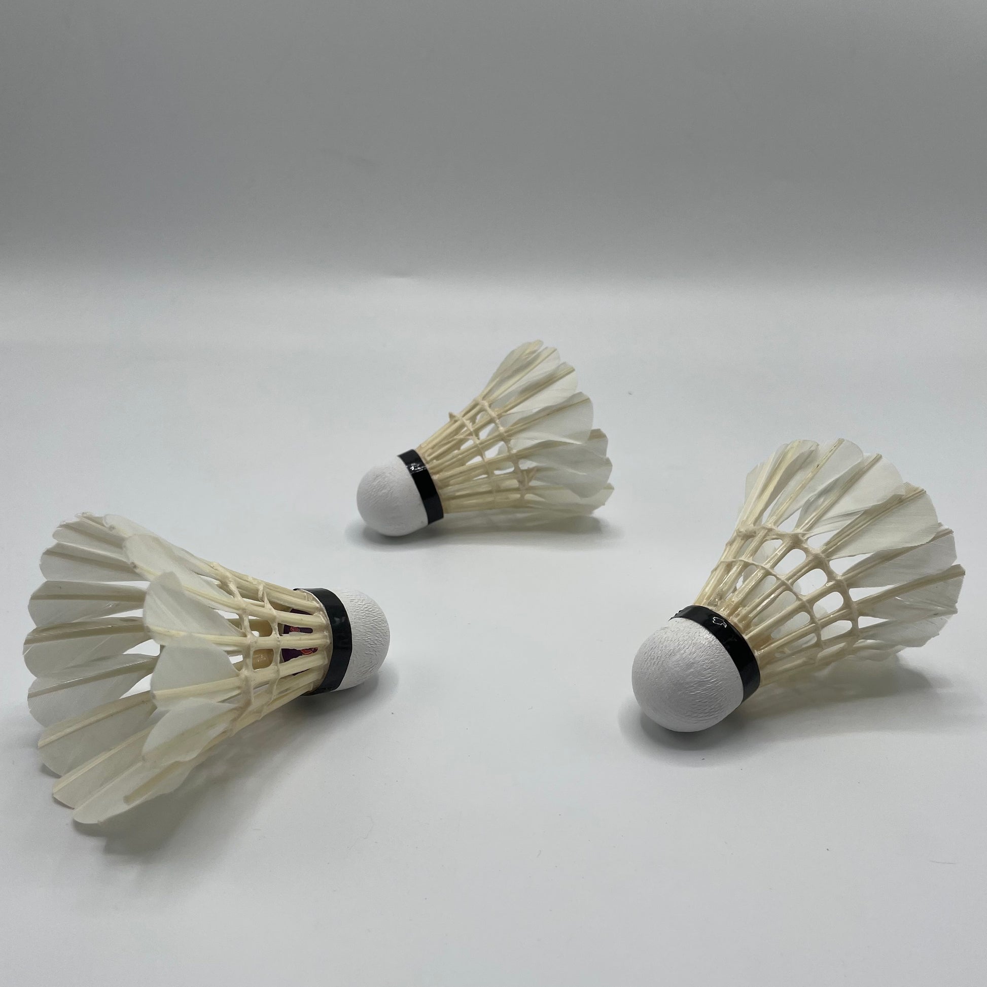 lining Badminton Feather Shuttle - Feather Shuttle - Shuttle - Badminton Suttle